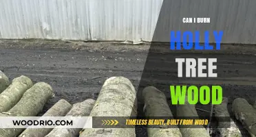 Exploring the Use of Holly Tree Wood for Burning: A Comprehensive Guide