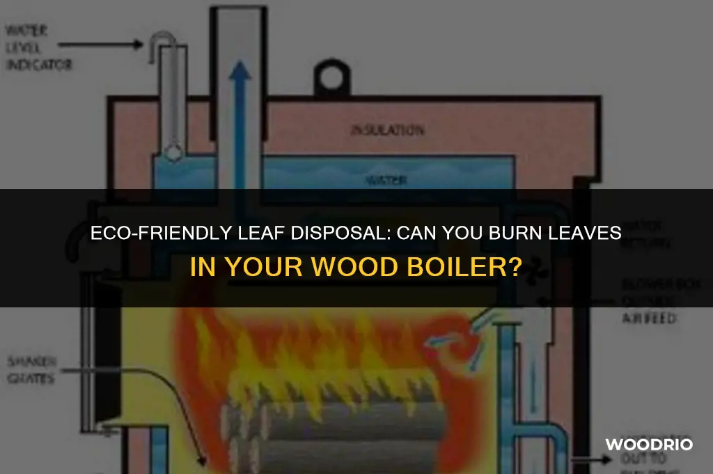 can i burn leaves in my wood boiler