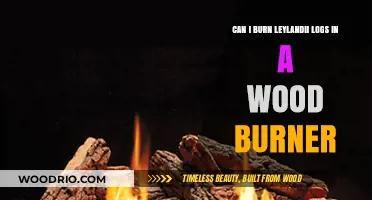 Eco-Friendly Heating: Burning Leylandii Logs in Wood Burners