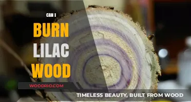 Exploring the Fragrant Possibilities: Can You Burn Lilac Wood?
