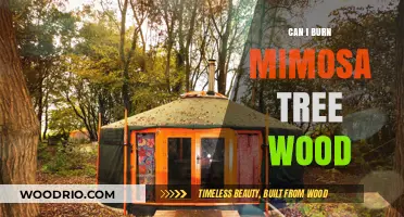 Exploring the Use of Mimosa Tree Wood for Burning: A Comprehensive Guide