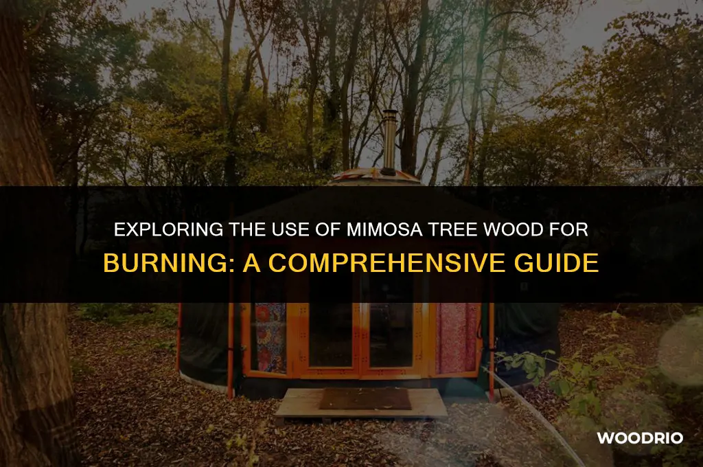 can i burn mimosa tree wood