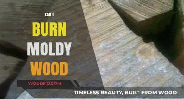 Burning Moldy Wood: Risks, Alternatives, and Safe Disposal Methods