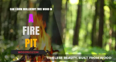 Eco-Friendly Bonfire: Burning Mulberry Wood Safely and Responsibly