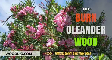 Exploring the Safety and Uses of Oleander Wood for Burning