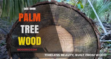 Exploring the Pros and Cons of Burning Palm Tree Wood