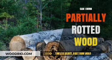 Eco-Friendly Disposal: Can You Safely Burn Partially Rotted Wood?