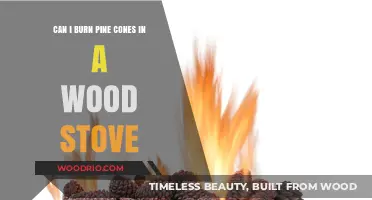 Eco-Friendly Heating: The Do's and Don'ts of Burning Pine Cones in Wood Stoves