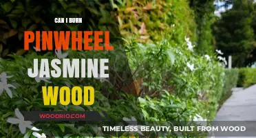 Exploring the Fragrant Possibilities: Burning Pinwheel Jasmine Wood Safely