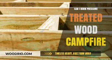 Safe Burning Practices: Pressure Treated Wood in Campfires