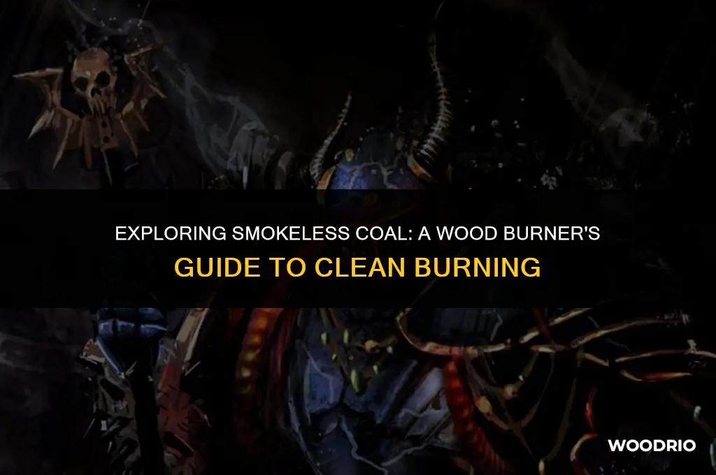 can i burn smokeless coal in my wood burner
