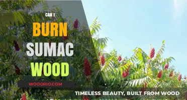 Exploring the Unique Qualities of Sumac Wood for Burning