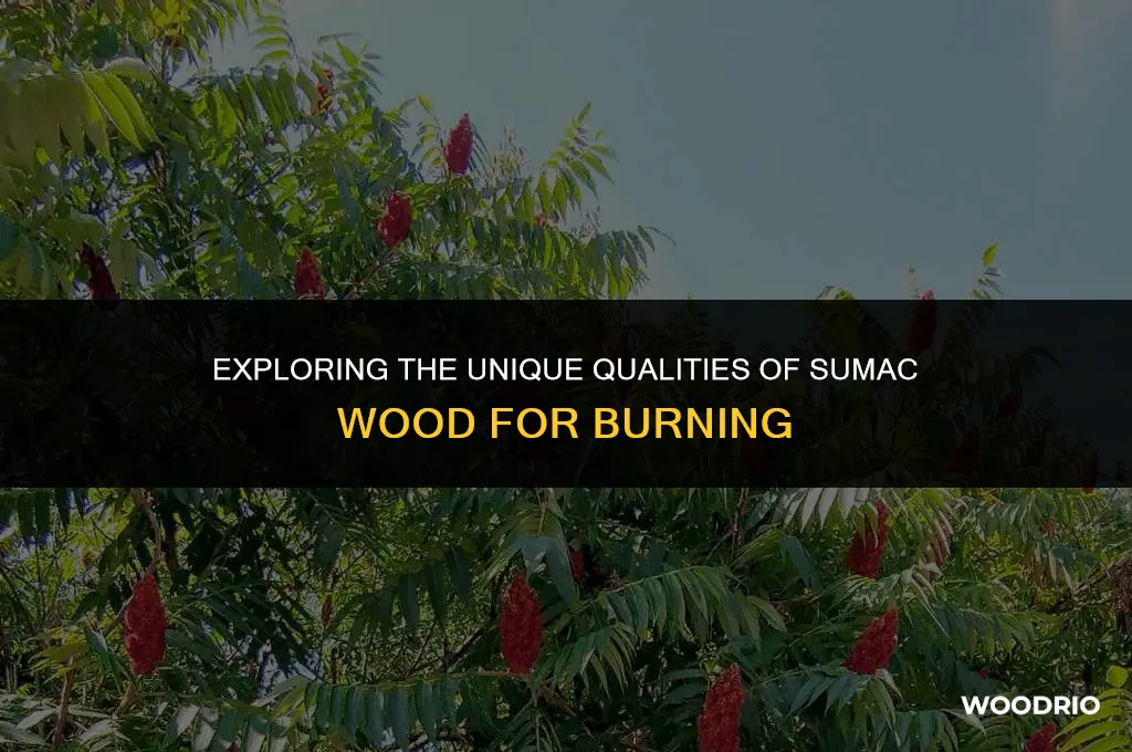 can i burn sumac wood