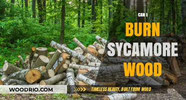 Exploring the Art of Burning Sycamore Wood: Tips and Tricks