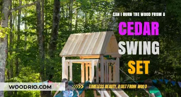 Eco-Friendly Disposal: Can You Burn Wood from a Cedar Swing Set?