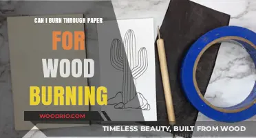 Exploring the Feasibility of Using Paper as Wood-Burning Fuel