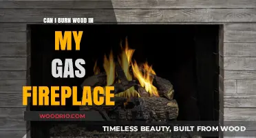 Exploring the Safety and Efficiency of Burning Wood in Gas Fireplaces