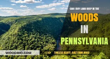 Buying Land in Pennsylvania's Woods: What You Need to Know