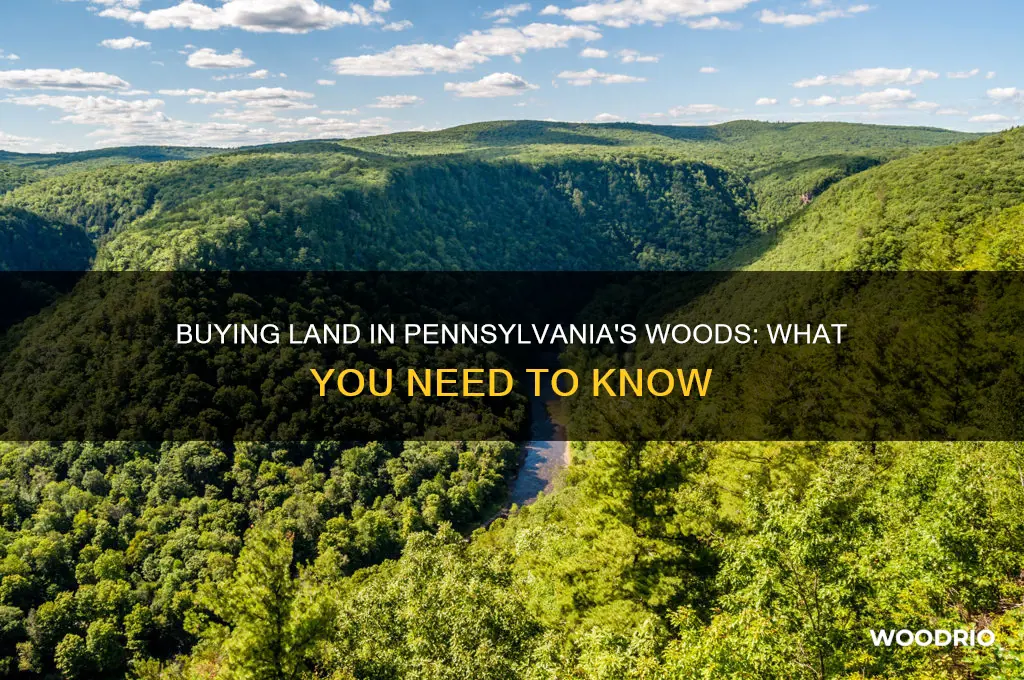 can i buy land deep in the woods in pennsylvania