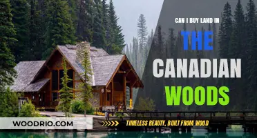 Buying Land in Canada's Woods: Legalities, Costs, and Opportunities