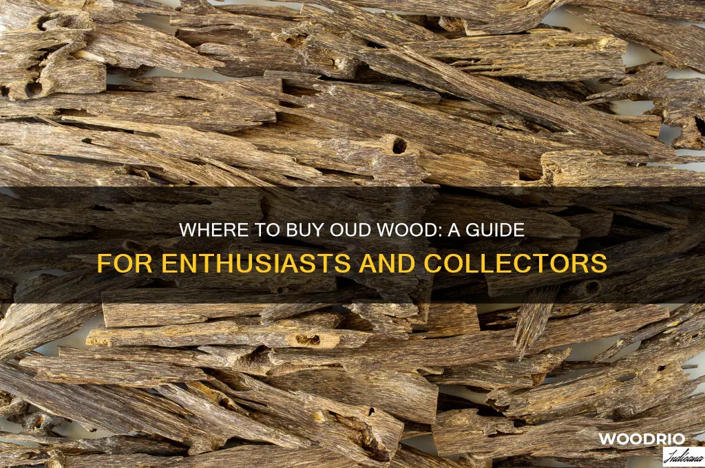 can i buy oud wood