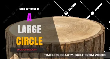 Where to Find and Purchase Large Circular Wood Pieces for Projects