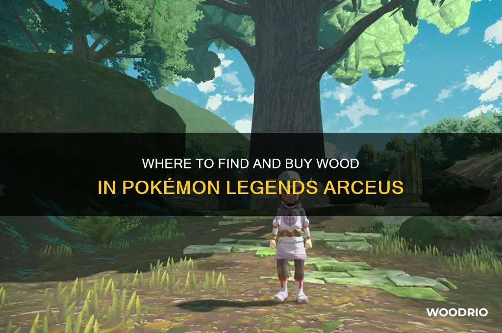 can i buy wood in legends arceus