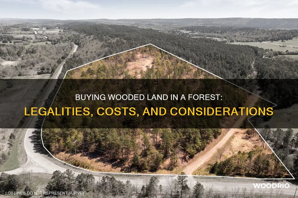 can i buy wooded land in a forest