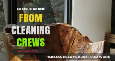 Sustainable Wood Collection: Can You Gather Cut Wood from Cleaning Crews?