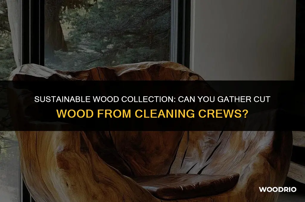 can i collect cut wood from cleaning crews