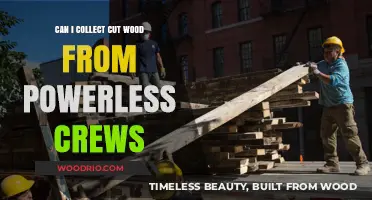 Salvaging Cut Wood from Powerless Crews: A Comprehensive Guide