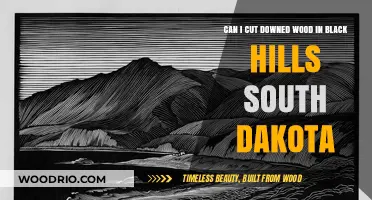 Exploring Woodcutting Opportunities in South Dakota's Black Hills