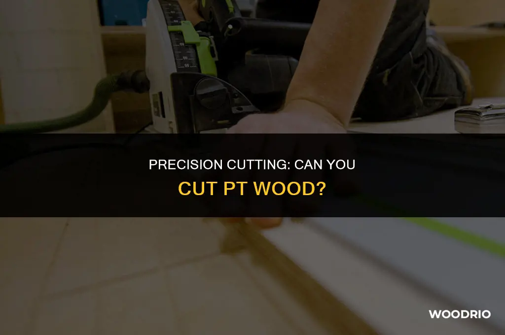 can i cut pt wood