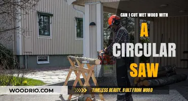 Cutting Wet Wood with a Circular Saw: Tips and Tricks