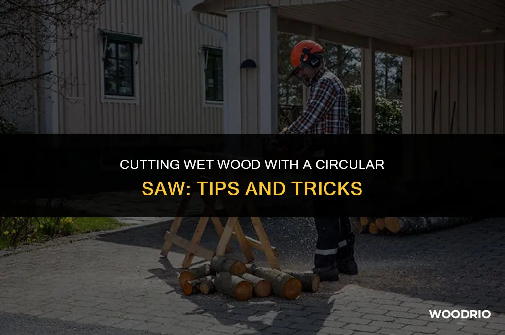 can i cut wet wood with a circular saw
