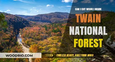 Exploring Woodcutting Opportunities in Mark Twain National Forest