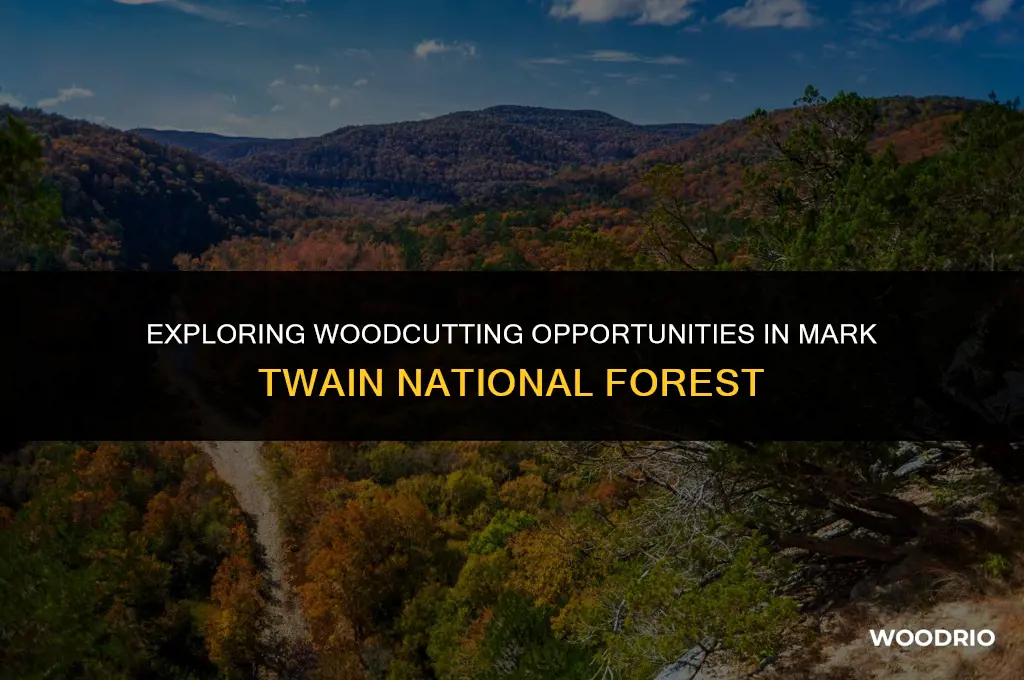 can i cut wood i mark twain national forest