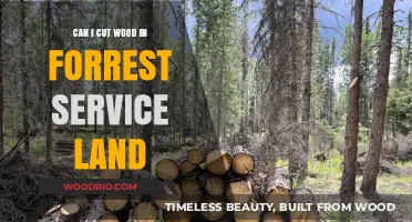 Exploring Woodcutting Regulations on Forest Service Land: A Guide