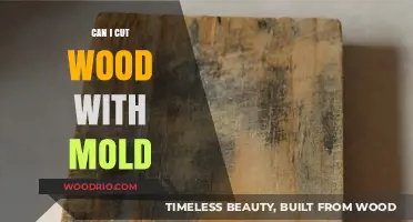 Crafting with Compromised Materials: The Risks of Cutting Moldy Wood
