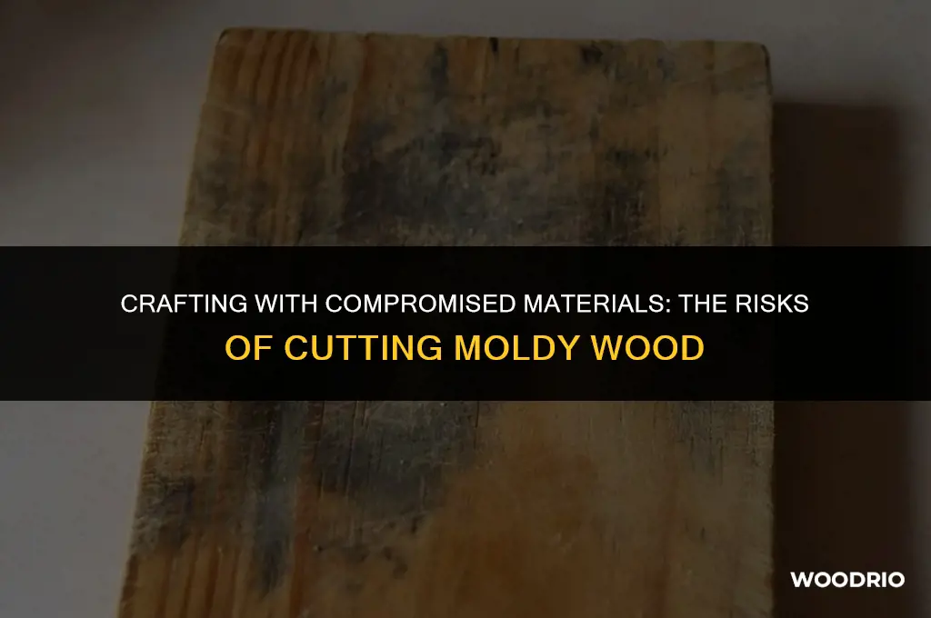 can i cut wood with mold
