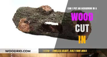 Wooden Wonders: Can You Really Put an Aquarium in a Log?