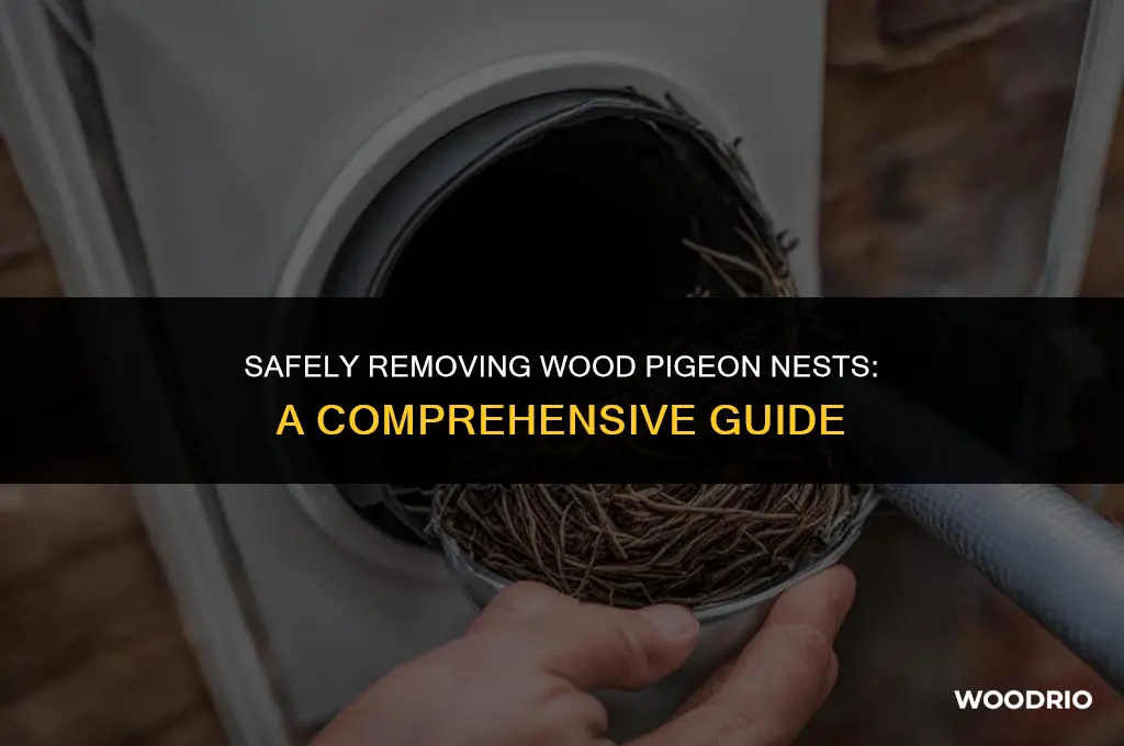 can i remove a wood pigeon nest