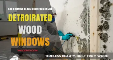 Reviving Old Wood Windows: A Guide to Black Mold Removal