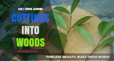 Rooting Jasmine Cuttings in the Wild: A Guide to Natural Propagation