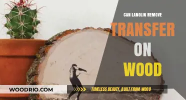 Erasing Transfer Marks on Wood: The Lanolin Solution