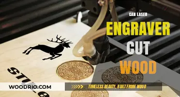 Precision in Woodworking: The Power of Laser Engravers Unveiled