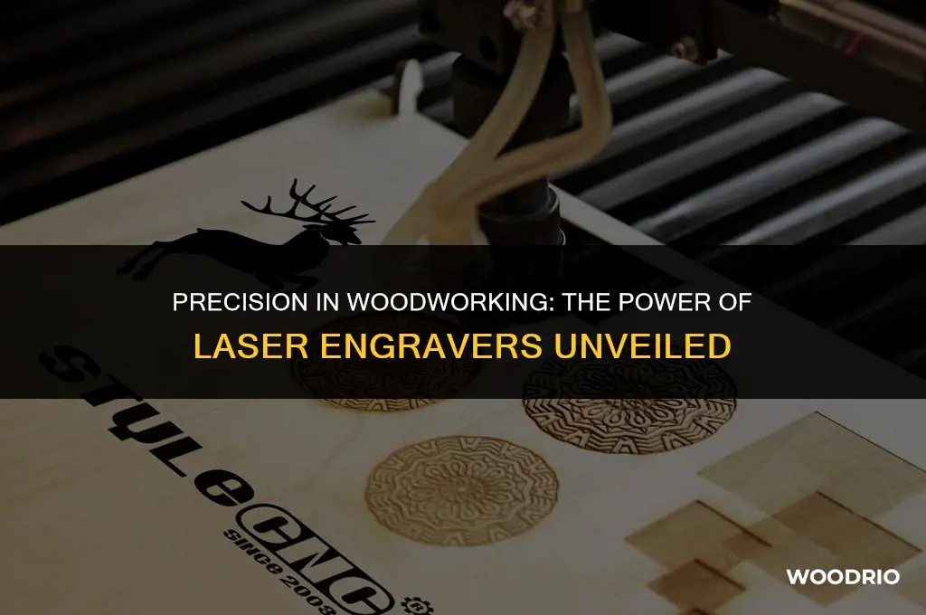 can laser engraver cut wood