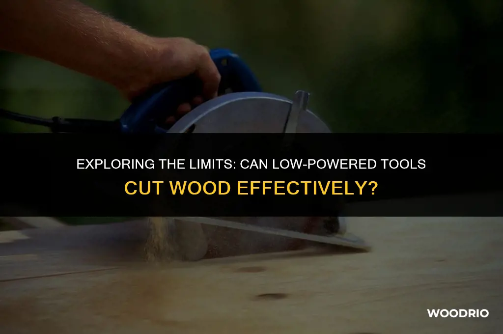 can lows cut wood