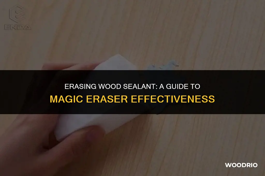 can magic erasers remove wood sealant