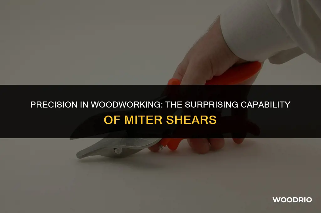 can miter shears cut wood